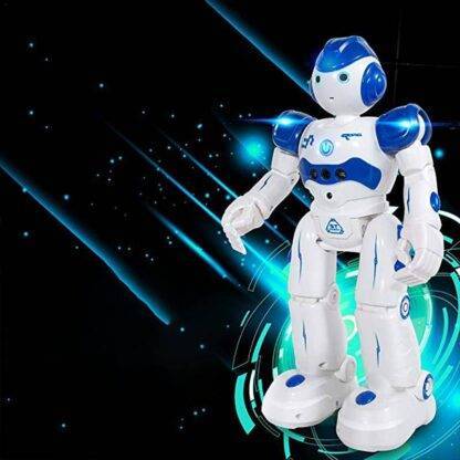 Humanoid Robot Toys