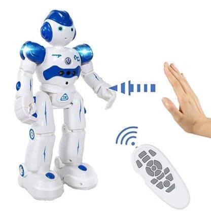 Humanoid Robot Toys